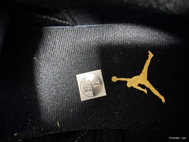 Gold 12 University Jordan Black Air Retro 130690-070 0719